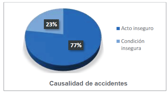 Gráfico, Gráfico circular

Descripción generada automáticamente