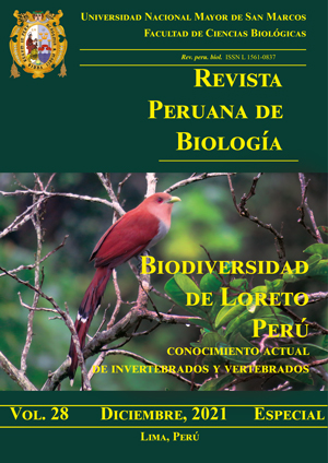 Biodiversity of Loreto, Peru: current knowledge of invertebrates and vertebrates