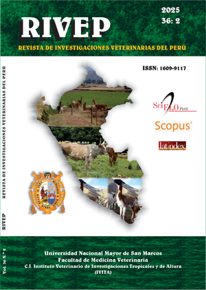 					Ver Vol. 36 Núm. 2 (2025)
				